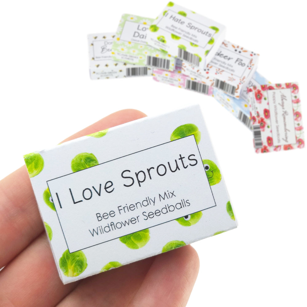 I Love Sprouts | Seedball Matchbox | Bee Mix | Cracker Filler | Little Gift