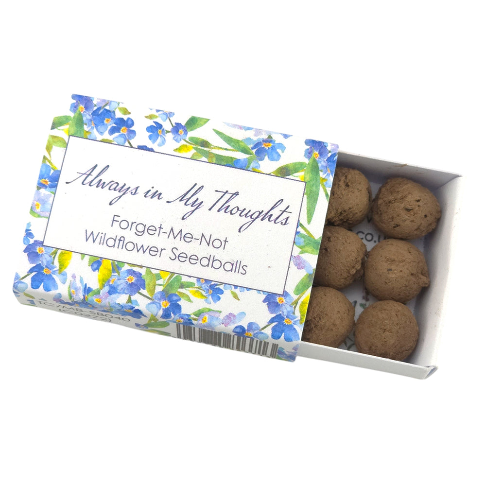 Always in My Thoughts | Forget Me Not Seedballs | Cracker Filler | Little Gift