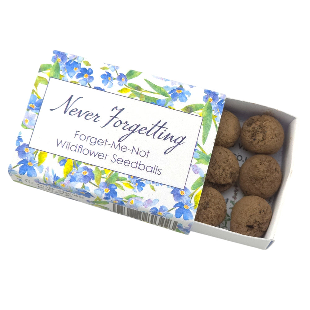 Never Forgetting | Forget Me Not Seedballs | Cracker Filler | Little Gift