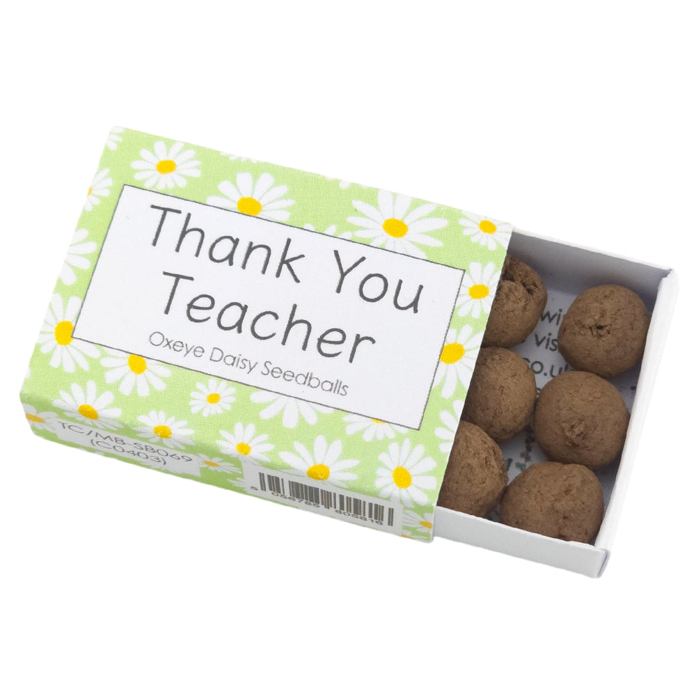 Thank You Teacher | Seedball Matchbox | Oxeye Daisies | Cracker Filler | Little Gift