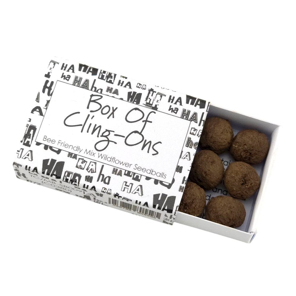 Box of Cling-Ons | Seedball Matchbox | Bee Mix | Cracker Filler | Little Gift