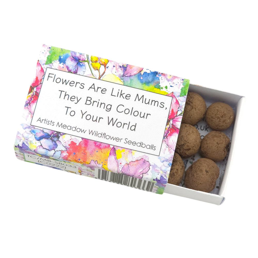 Flowers Are Like Mums | Artist Mix Seedball Box | Cracker Filler | Little Gift