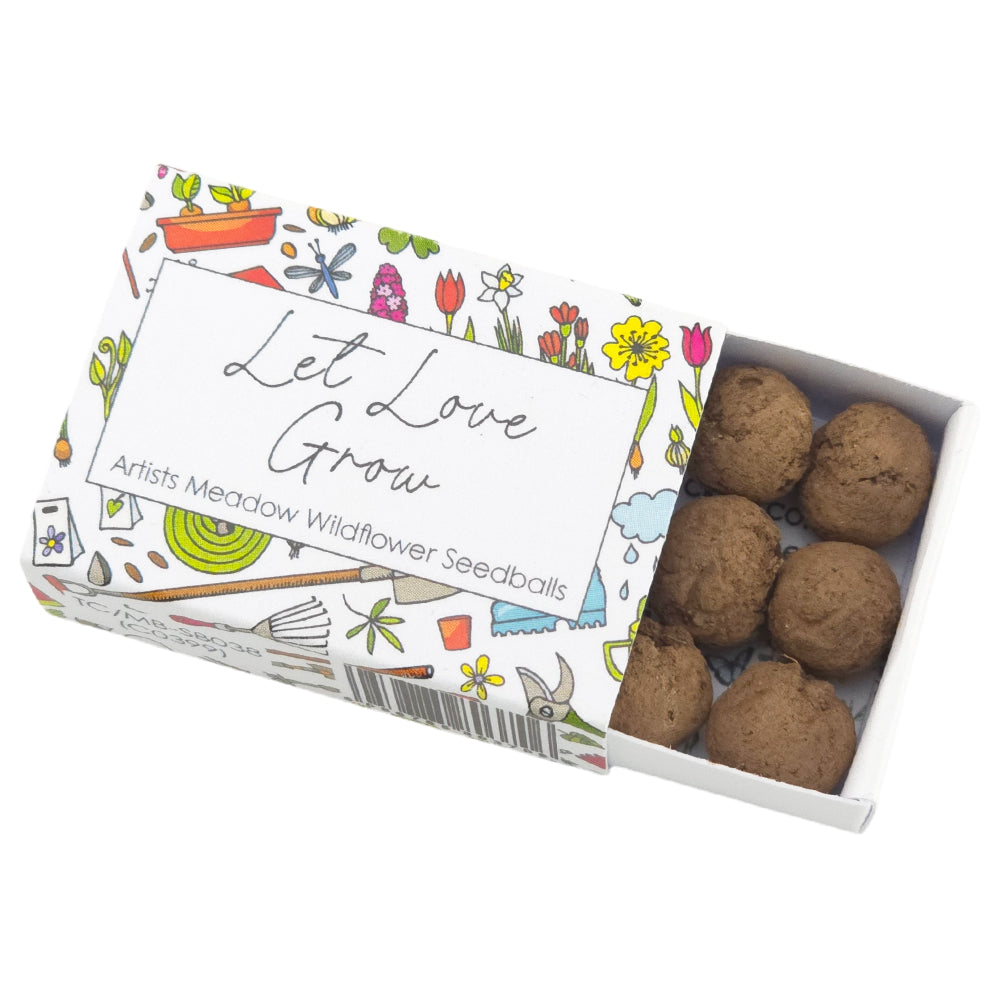 Let Love Grow | Seedball Matchbox | Forget Me Nots | Cracker Filler | Little Gift