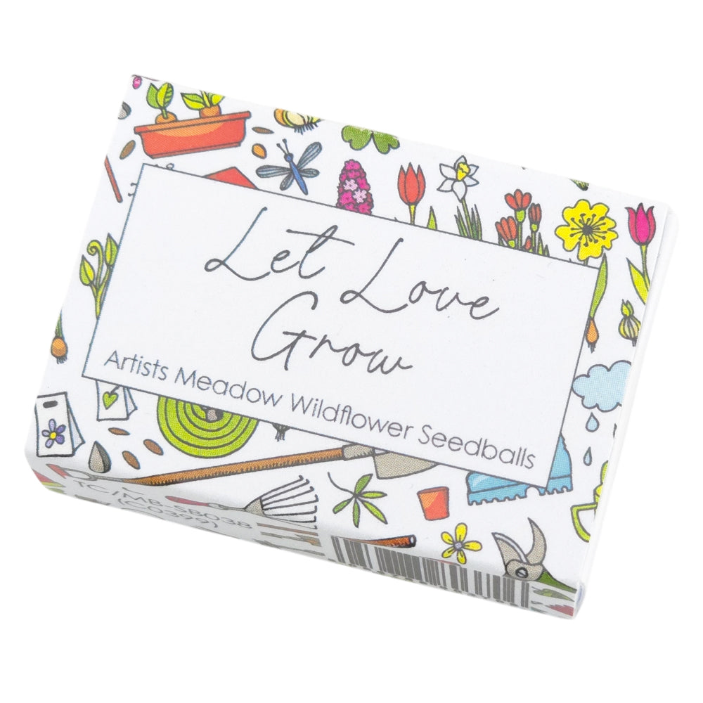 Let Love Grow | Seedball Matchbox | Forget Me Nots | Cracker Filler | Mini Gift