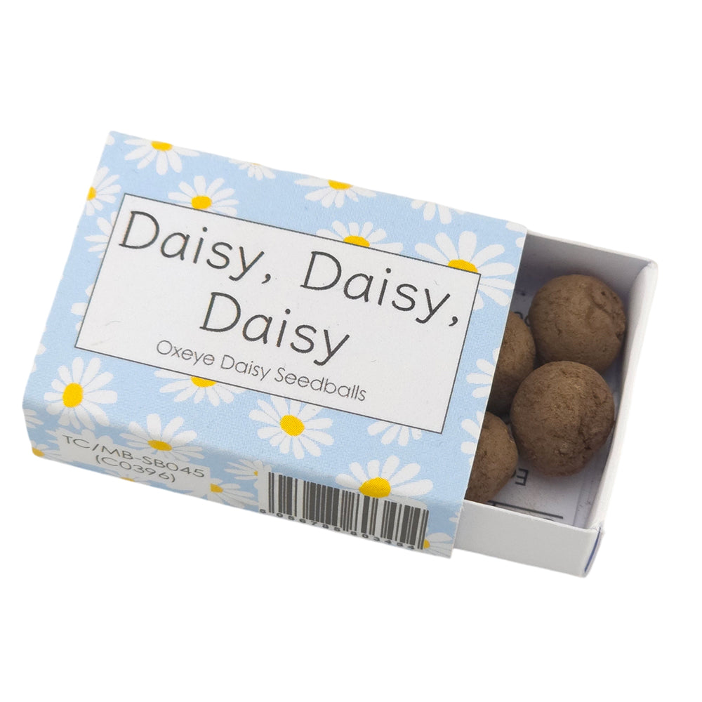 Blue Daisy Design | Seedball Box | Oxeye Daisies | Cracker Filler | Mini Gift