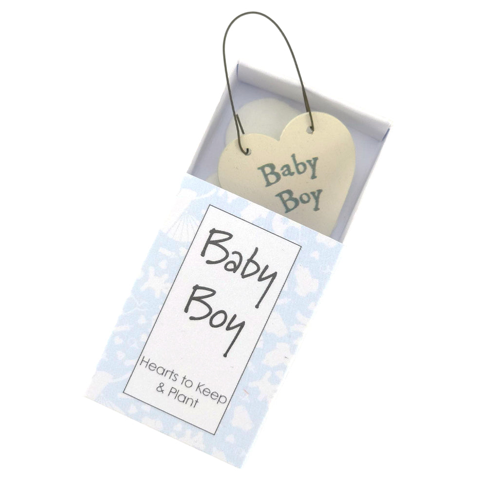 Baby Boy | Hearts to Keep and to Plant | Cracker Filler | Little Gift