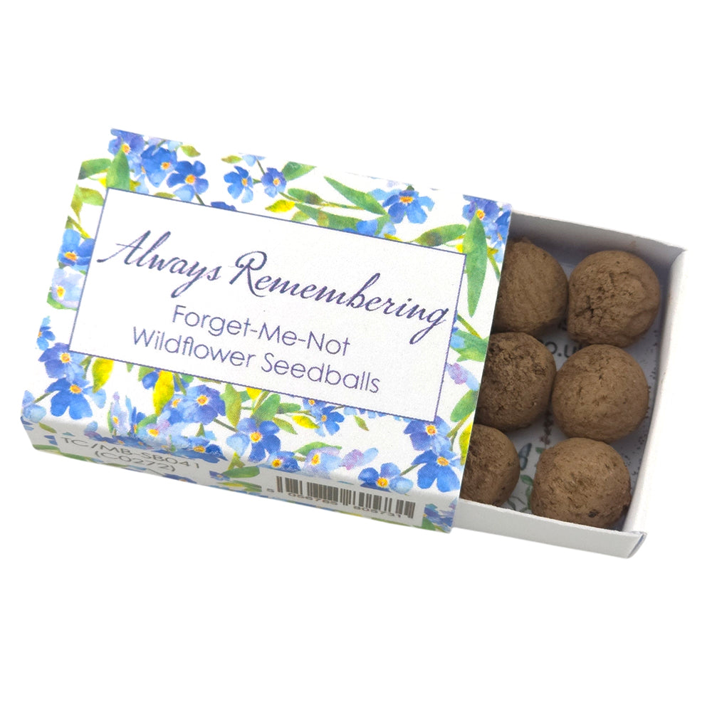 Always Remembering | Forget Me Not Seedballs | Cracker Filler | Little Gift