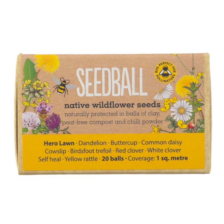 Hero Lawn | 20 Native Wildflower Seeds | Mini Gift | Cracker Filler