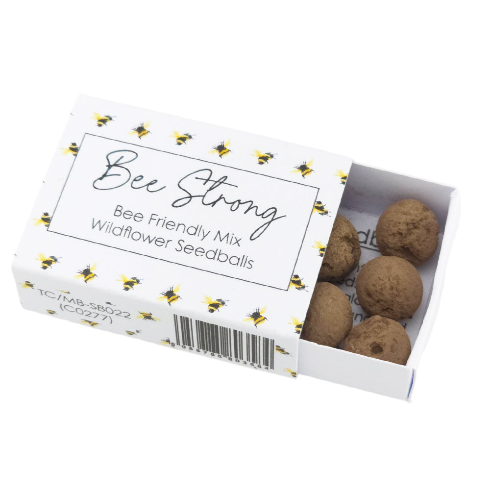 Bee Strong | Seedball Matchbox | Bee Mix | Cracker Filler | Mini Gift