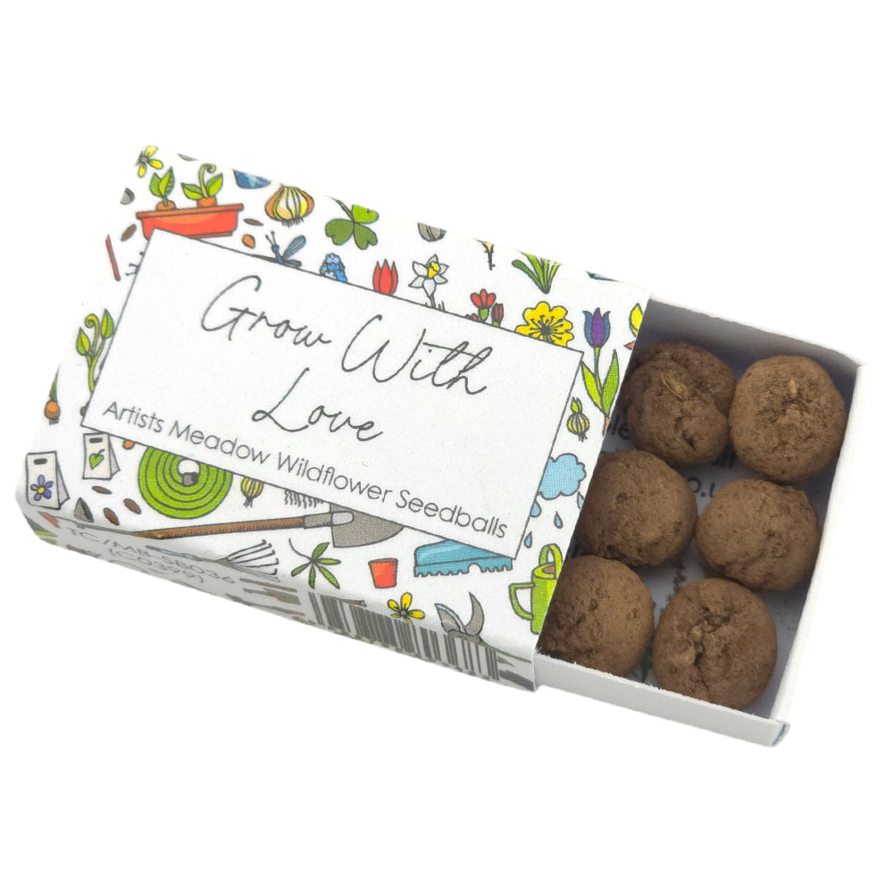 Grow with Love | Artist Mix Seedball Box | Cracker Filler | Mini Gift