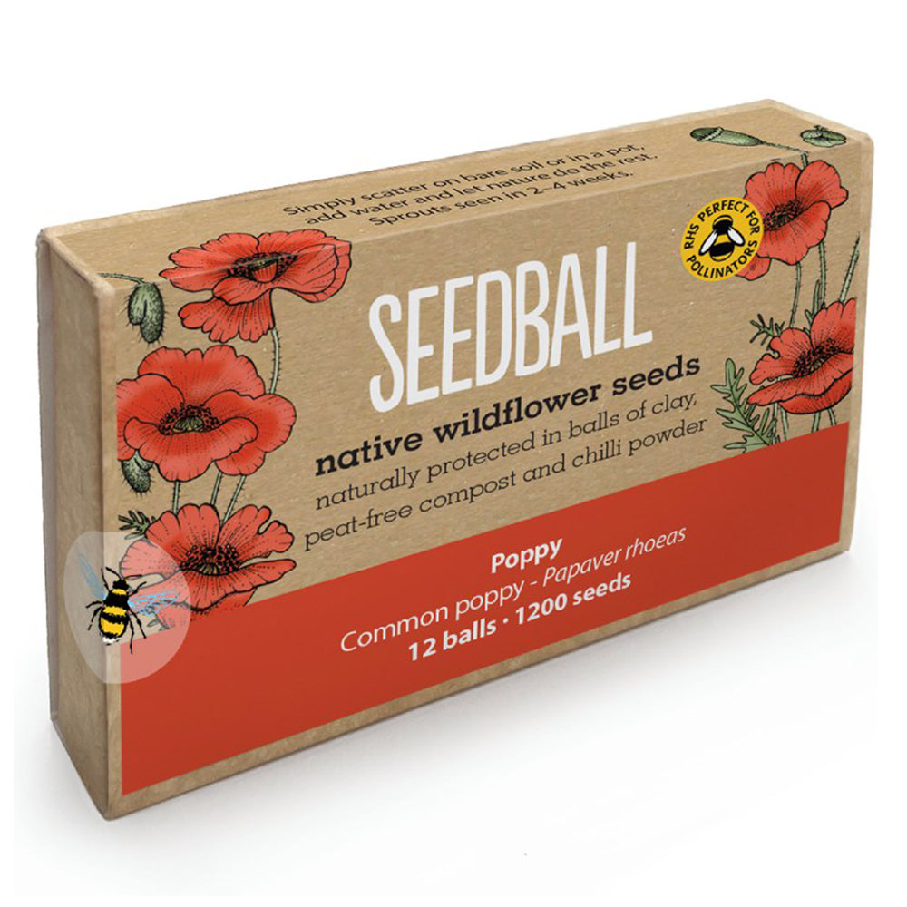 Poppies | 12 Native Wildflower Seedballs | Little Gift | Cracker Filler