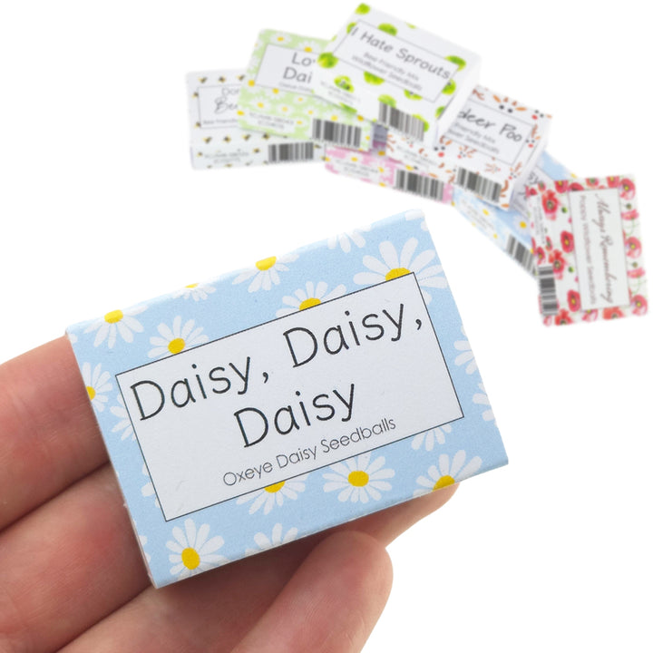 Blue Daisy Design | Seedball Box | Oxeye Daisies | Cracker Filler | Mini Gift