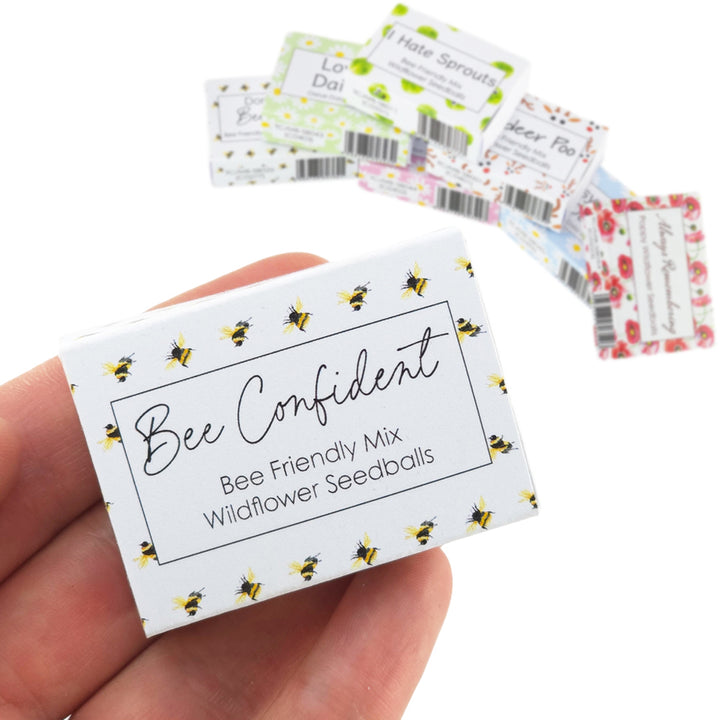 Bee Confident | Seedball Matchbox | Bee Mix | Cracker Filler | Mini Gift