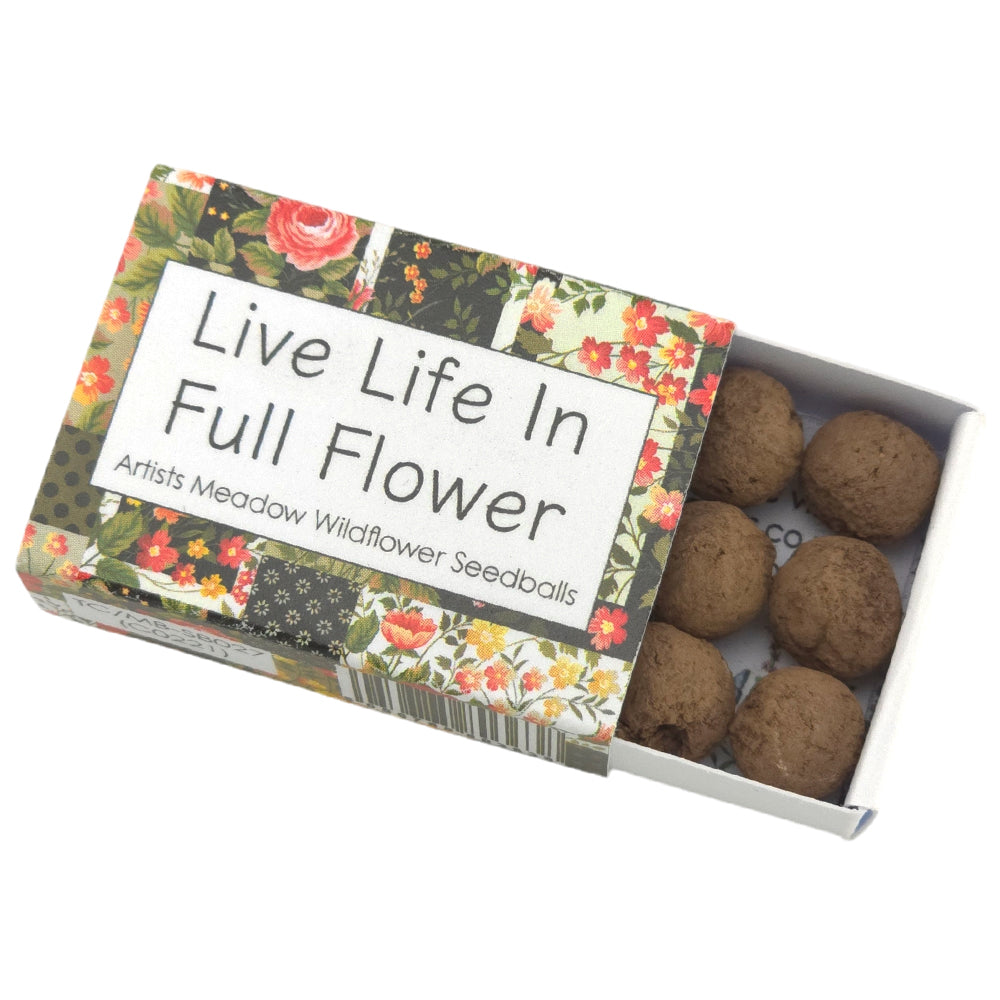 Live Life in Full Flower | Artist Mix Seedball Box | Cracker Filler | Little Gift