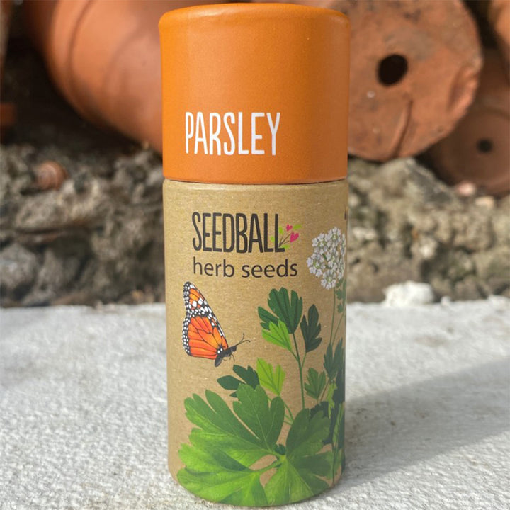 Parsley | Luxury Tube of Seedballs | Cracker Filler | Mini Gift