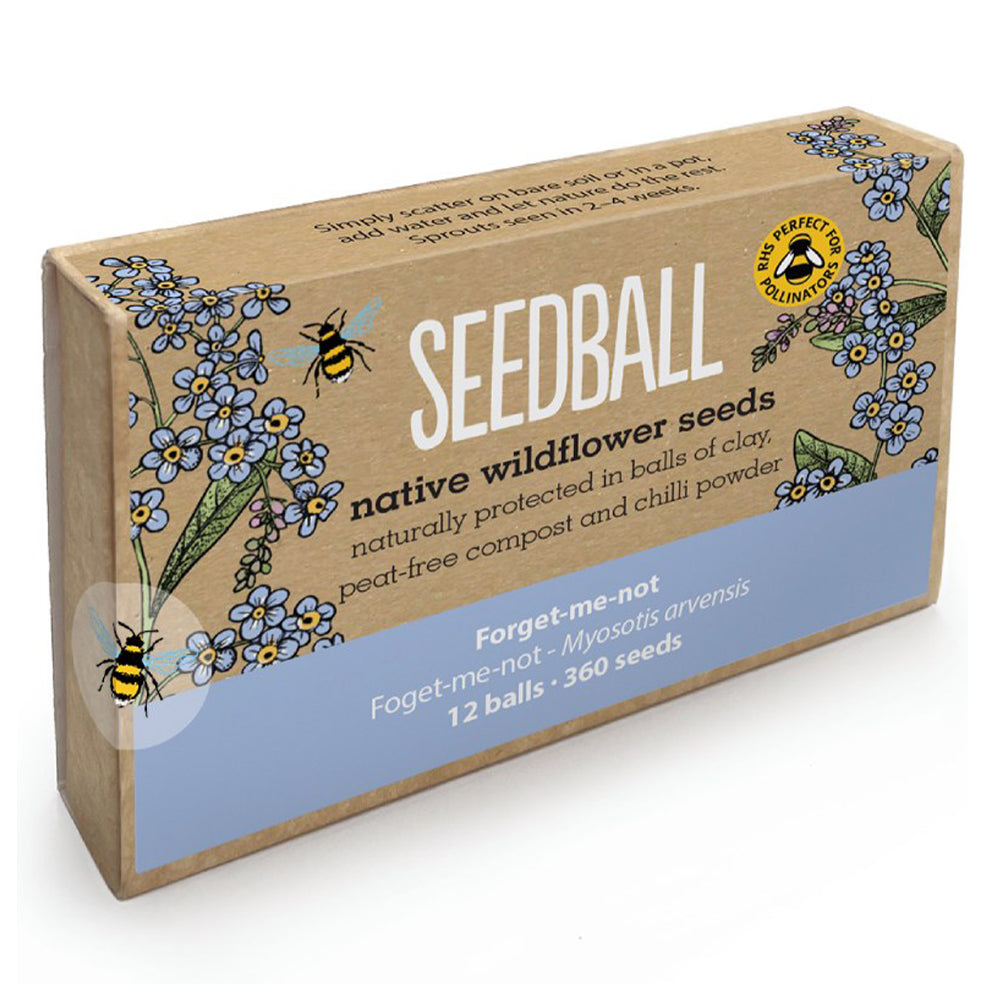 Forget-Me-Not | 12 Native Wildflower Seedballs | Little Gift | Cracker Filler