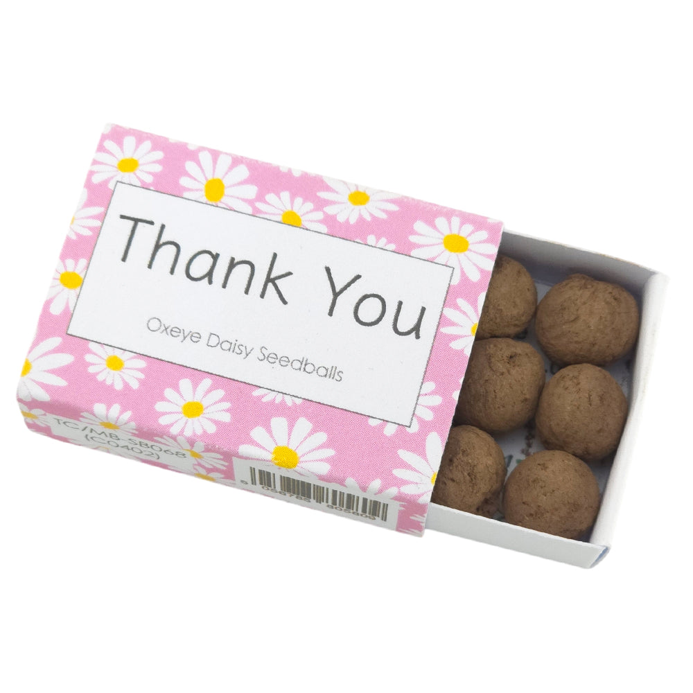 Thank You | Seedball Matchbox | Oxeye Daisies | Cracker Filler | Little Gift