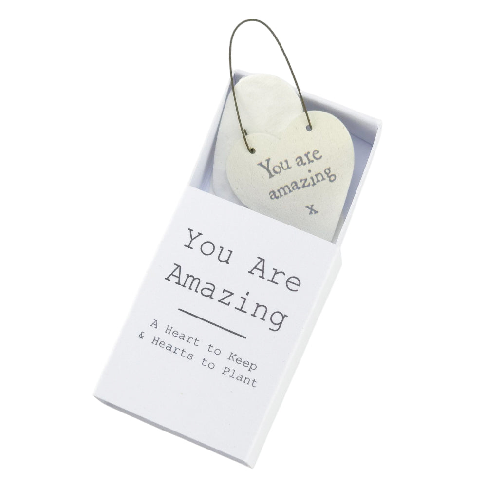 You are Amazing | Hearts to Keep and to Plant | Cracker Filler | Little Gift