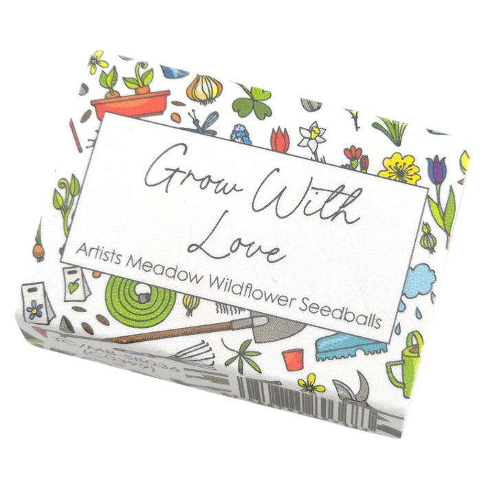 Grow with Love | Artist Mix Seedball Box | Cracker Filler | Mini Gift