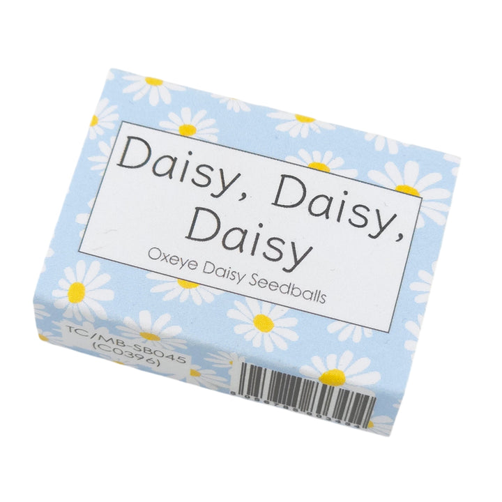 Blue Daisy Design | Seedball Box | Oxeye Daisies | Cracker Filler | Mini Gift