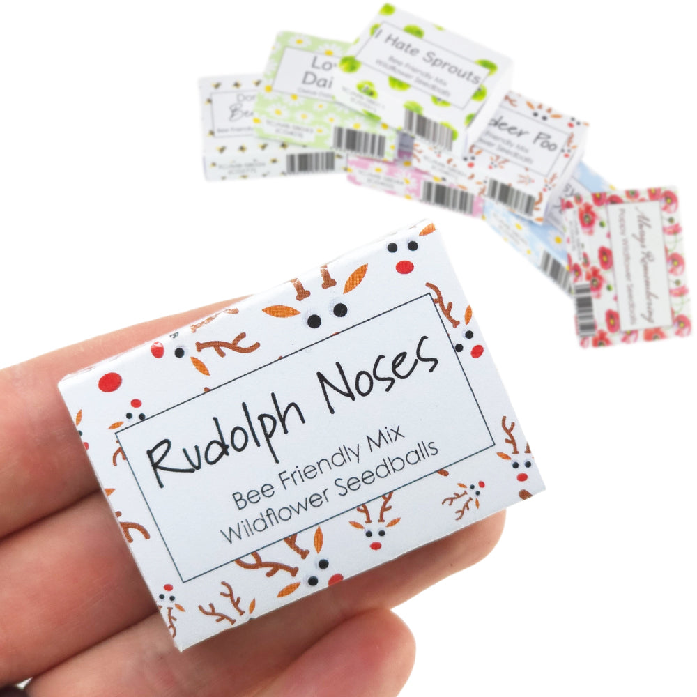 Rudolph Noses | Seedball Matchbox | Bee Mix | Cracker Filler | Little Gift