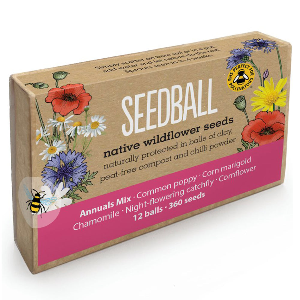 Annuals Mix | 12 Native Wildflower Seedballs | Little Gift | Cracker Filler