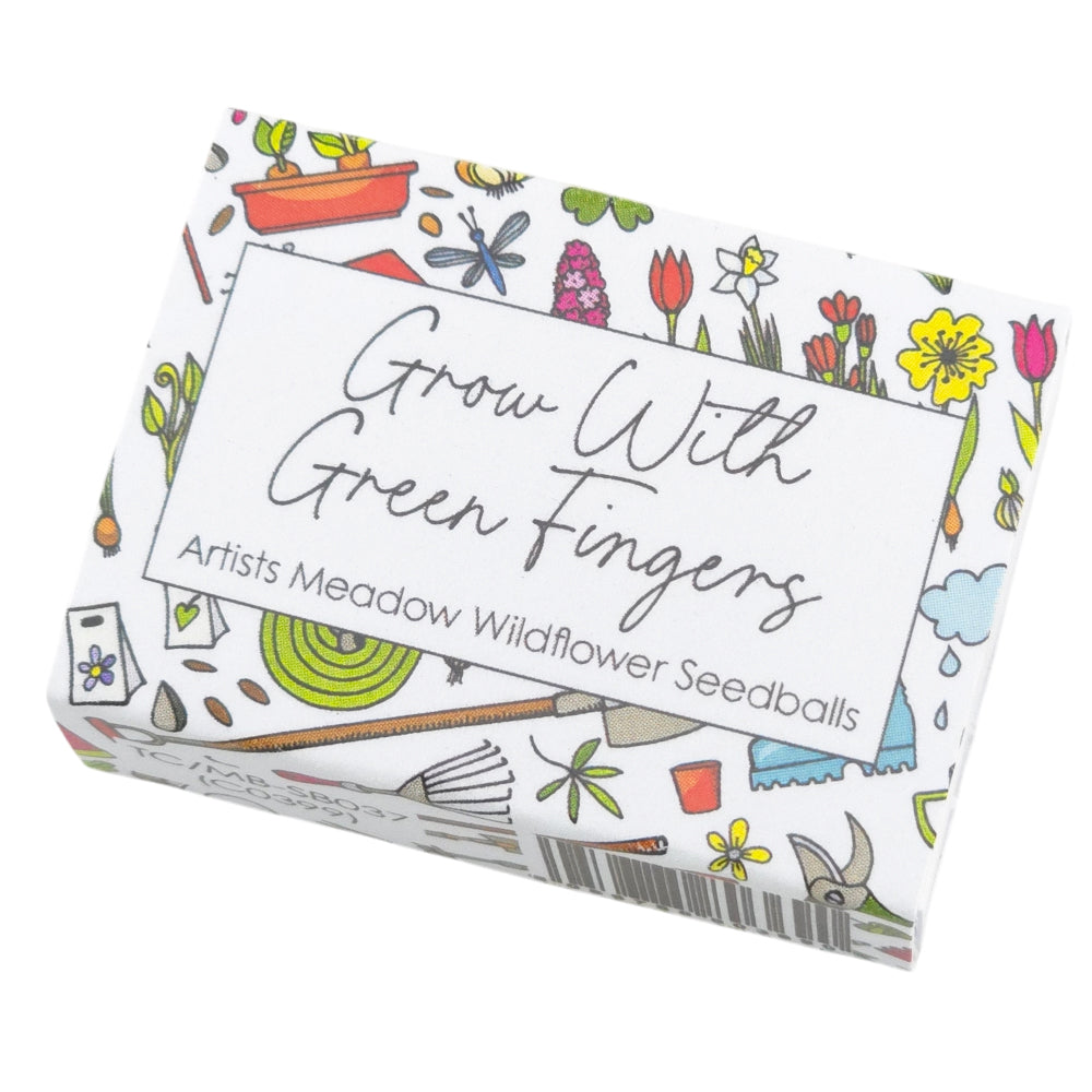 Grow with Green Fingers | Artist Mix Seedball Box | Cracker Filler | Mini Gift