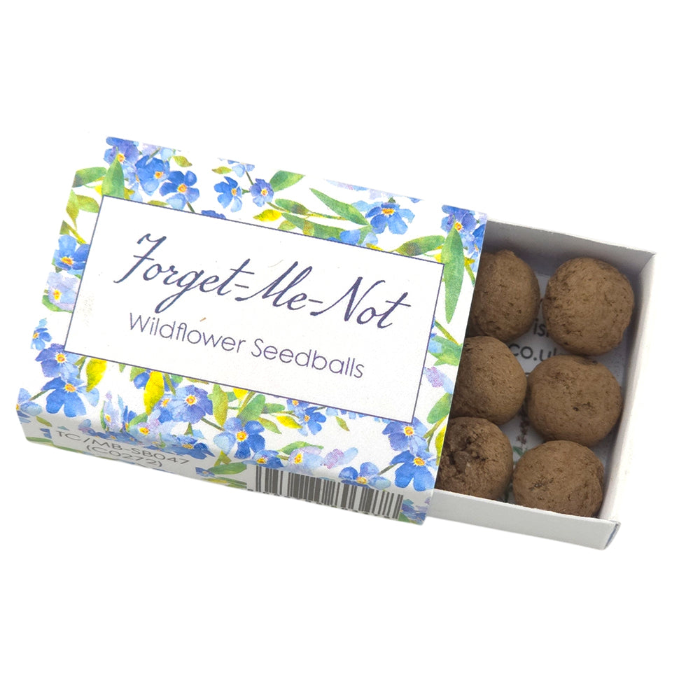 Watercolour Forget Me Not | Seedball Matchbox | Cracker Filler | Little Gift