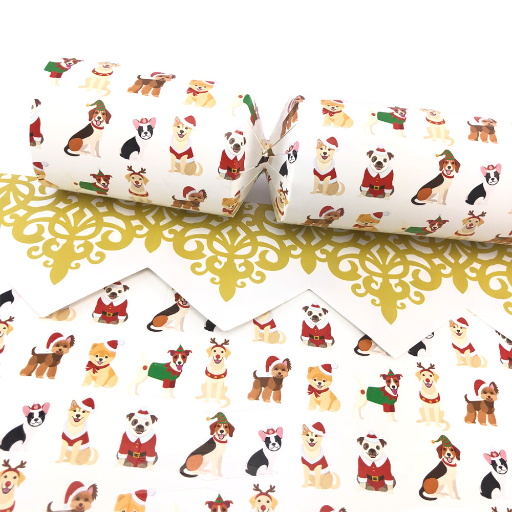 Christmas Dogs | Eco Cracker Making Craft Kit | Make and Fill Your Own