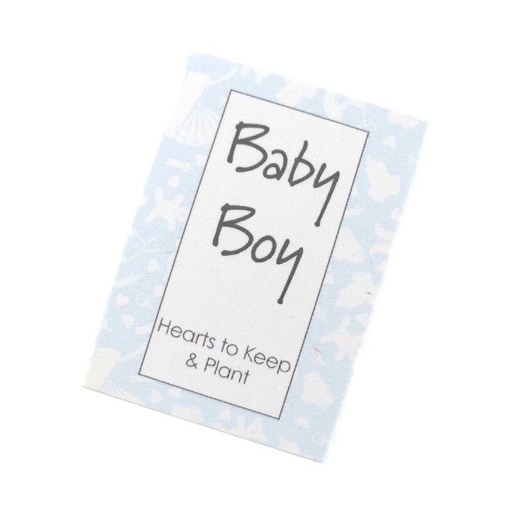 Baby Boy | Hearts to Keep and to Plant | Cracker Filler | Mini Gift