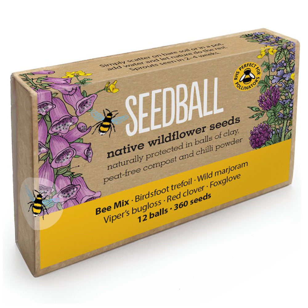 Bee Mix | 12 Native Wildflower Seedballs | Little Gift | Cracker Filler