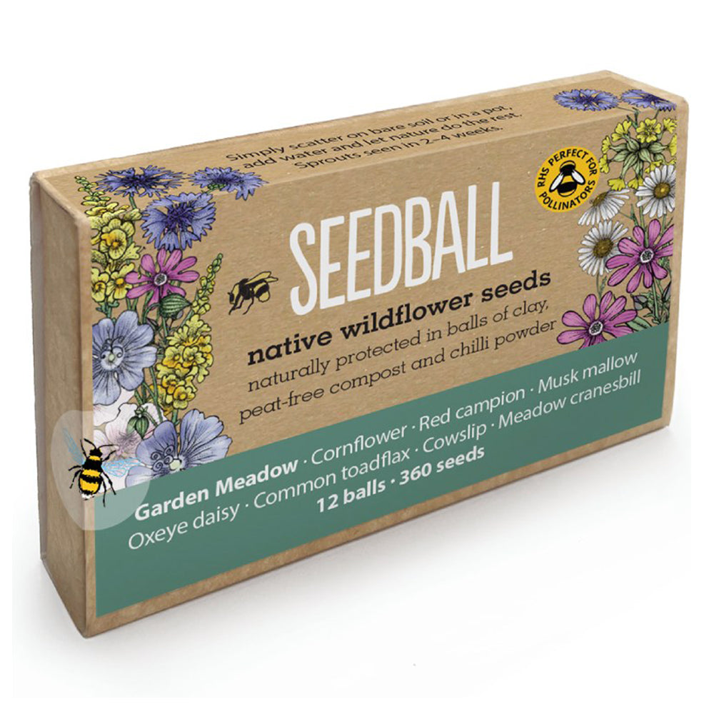 Garden Meadow | 12 Native Wildflower Seedballs | Little Gift | Cracker Filler