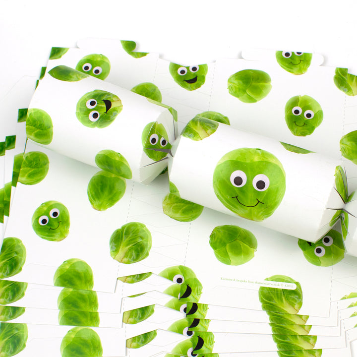 Googly Sprouts | Christmas Cracker Making Craft Kit | Makes 6 Standard Crackers