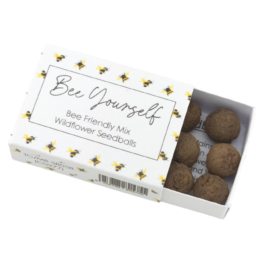 Bee Yourself | Seedball Matchbox | Bee Mix | Cracker Filler | Little Gift