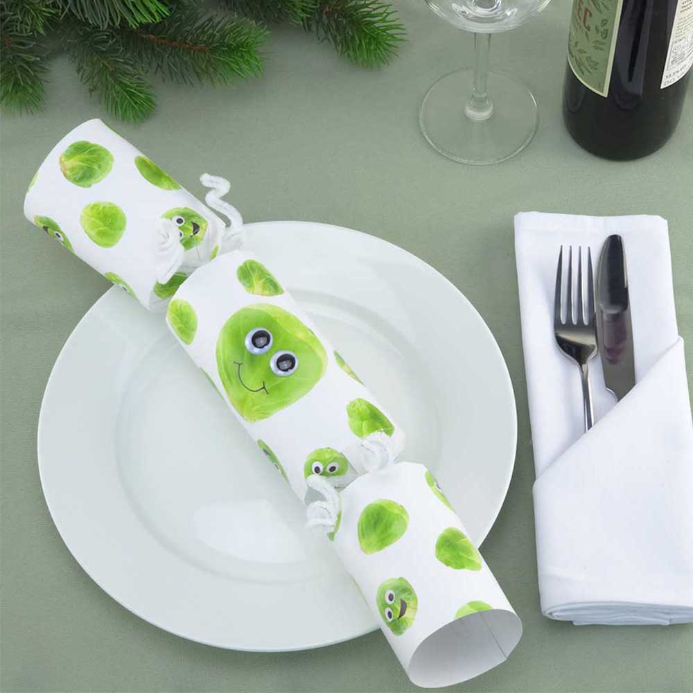 Googly Eyed Sprouts | 6 Crackers with Eyes & Ties | Make & Fill Your Own Kit