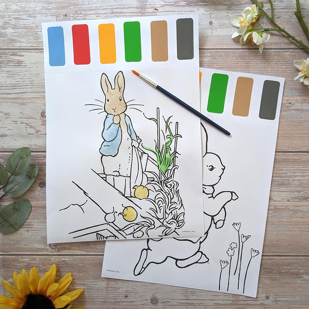 Peter Rabbit & Friends | Beatrix Potter | Colouring Set with Crayons & Stickers