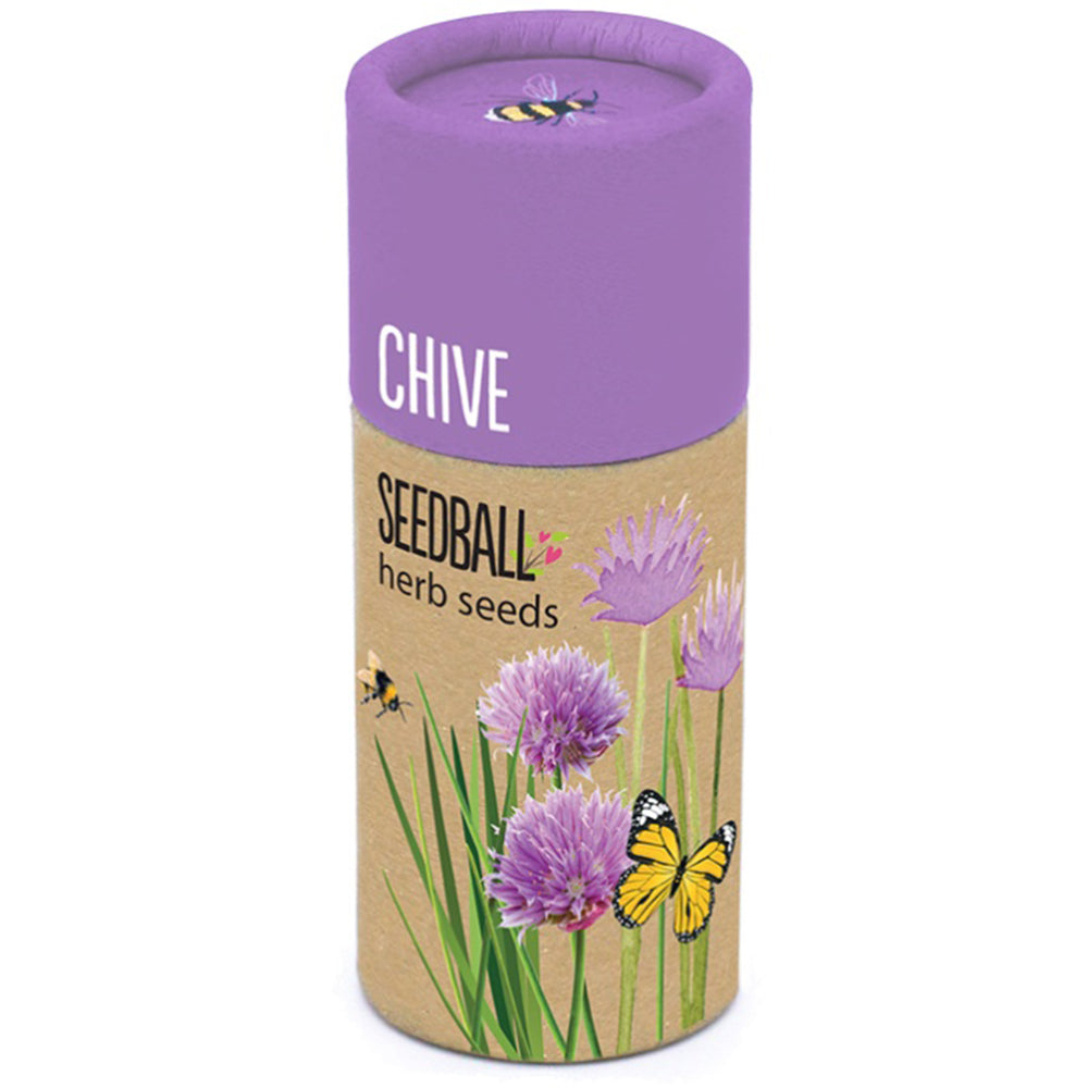 Chives | Luxury Tube of Seedballs | Cracker Filler | Little Gift